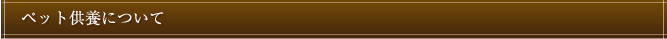 ペット供養について